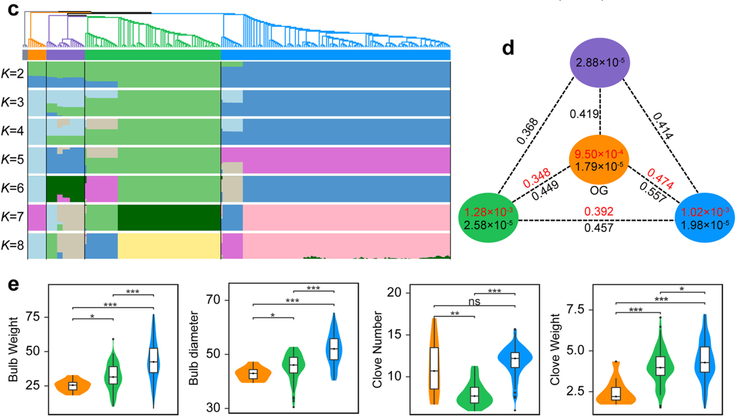 张雪钰-population structure and genetic diversity of garlic accessions.jpg