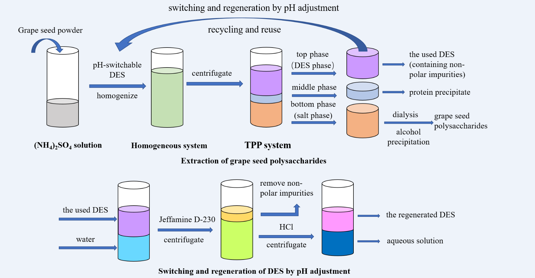 The entire process of GSP extraction and pH-switchable DES recovery.png